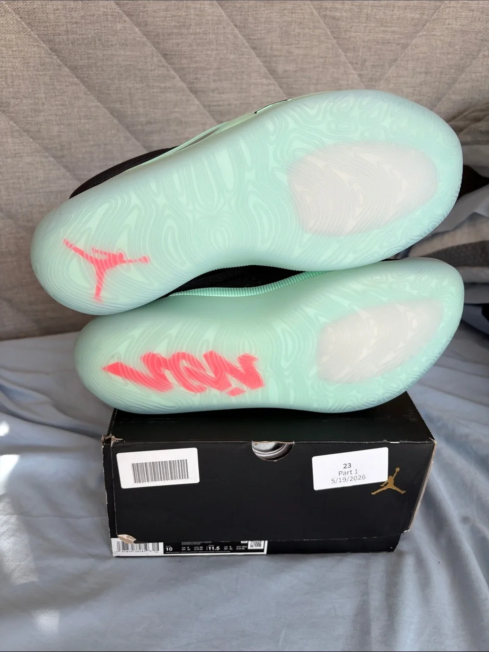 Jordan Zion 4